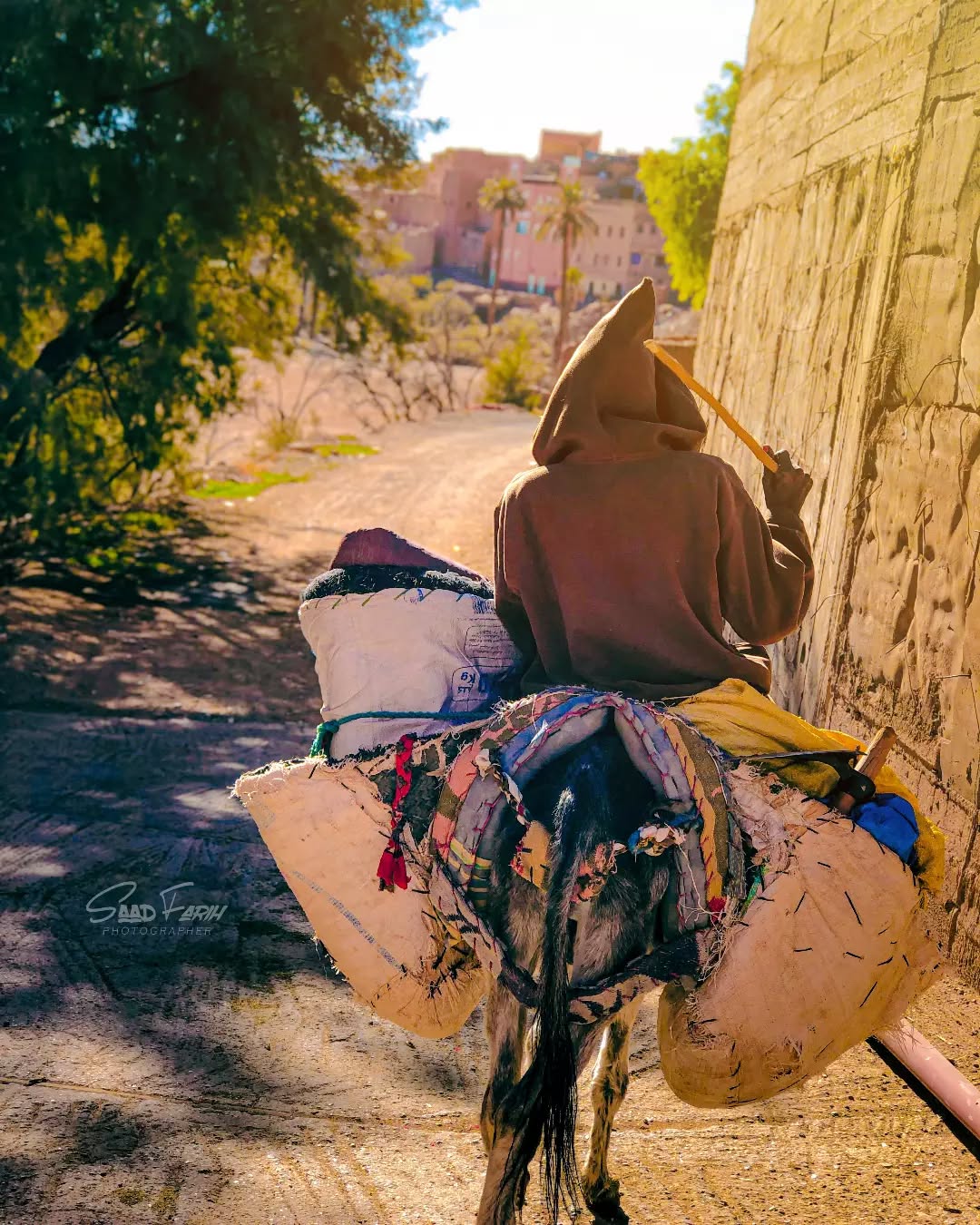 Vue des montagnes Todgha